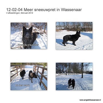 Nog meer sneeuwpret in Wassenaar